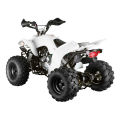 Kids VTT quad (FA-E110)